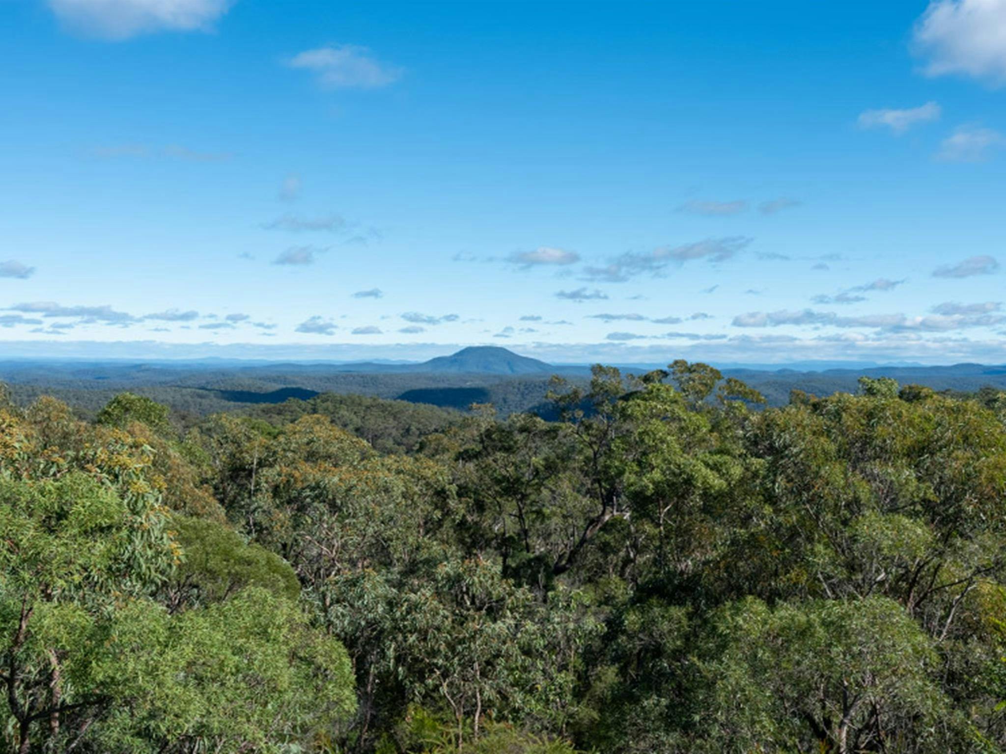 A view of Mount Yengo from Finchley lookout in Yengo National Park. Credit: Allan Chawner &copy;
