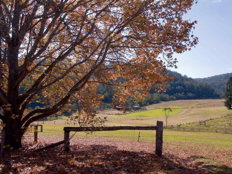 Valley view from Big Yango homestead. Photo: NSW Government.