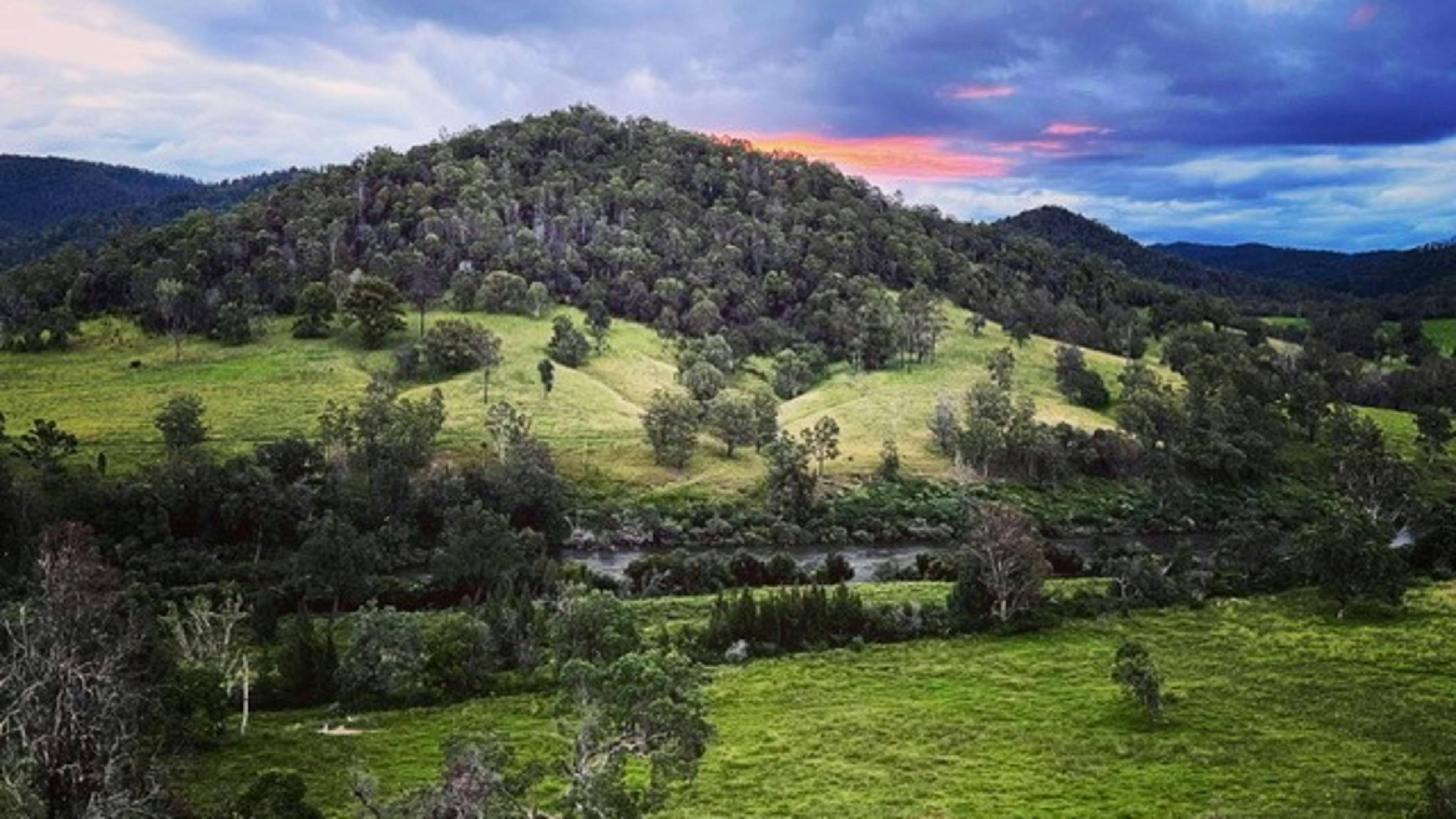 Yeoman Cottage on Nymboida River