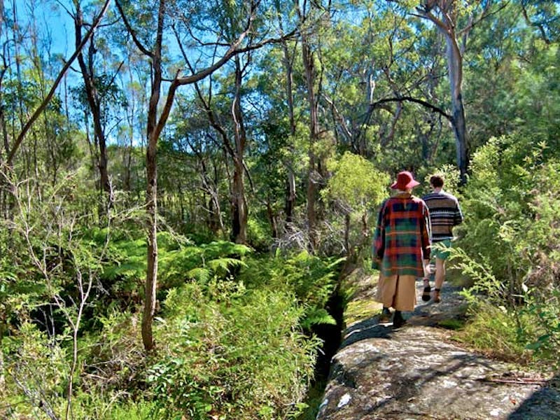 Yeramba Lagoon loop track, Georges River National Park. Photo: John Spencer