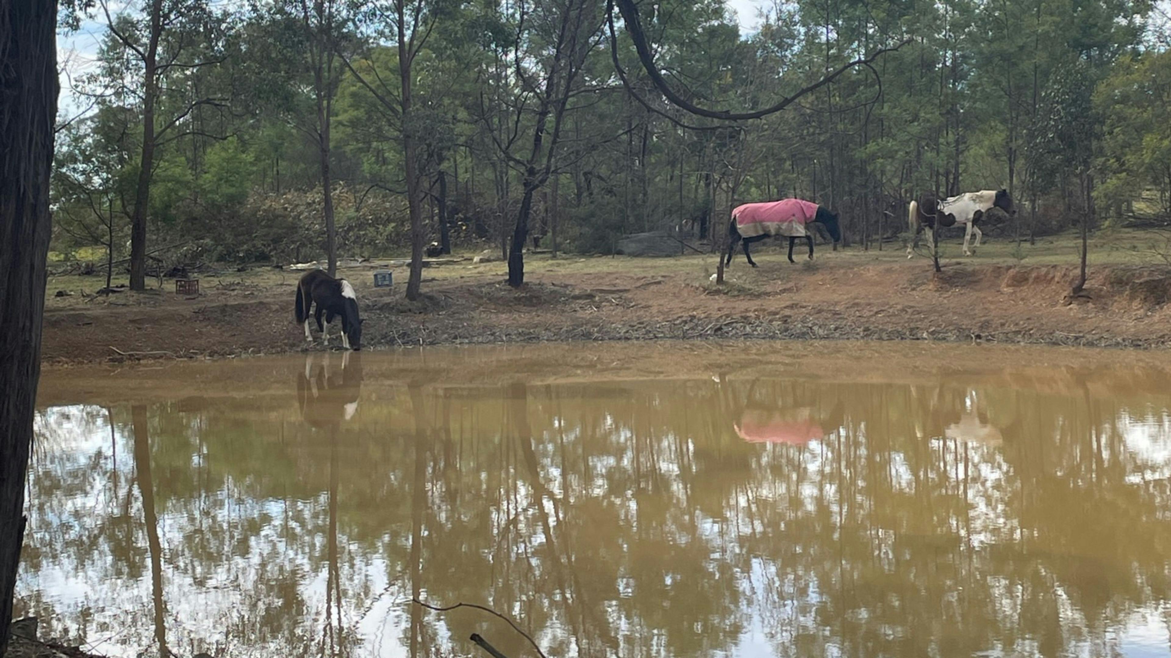 Yerrinbool hobby Farm