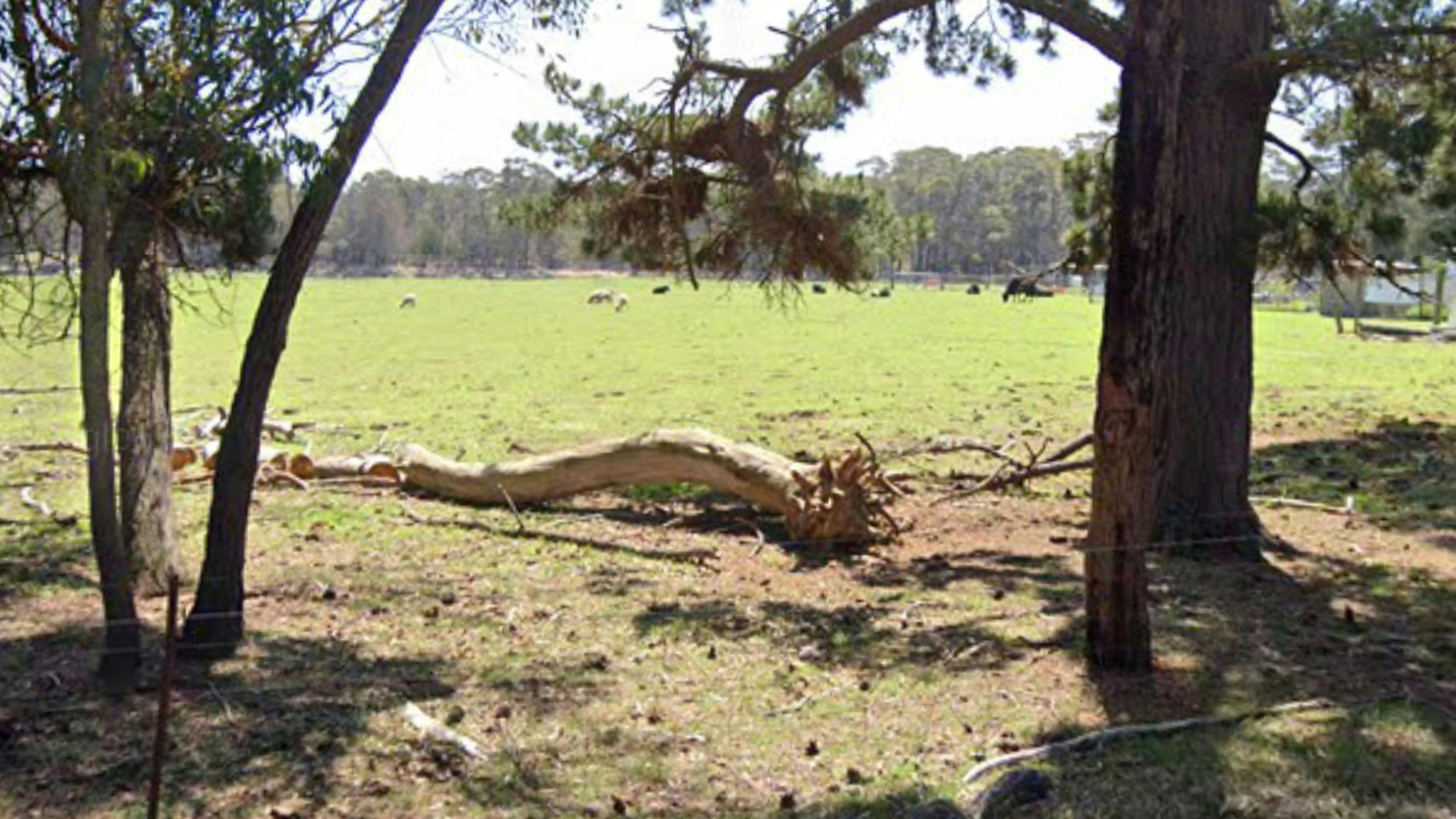 Yerrinbool hobby Farm