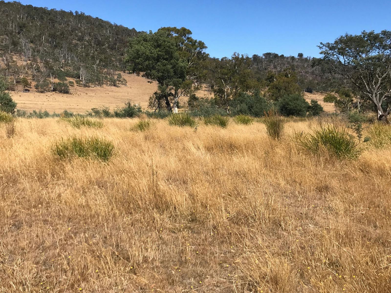 Views from your campsite Bandicoot's Rest