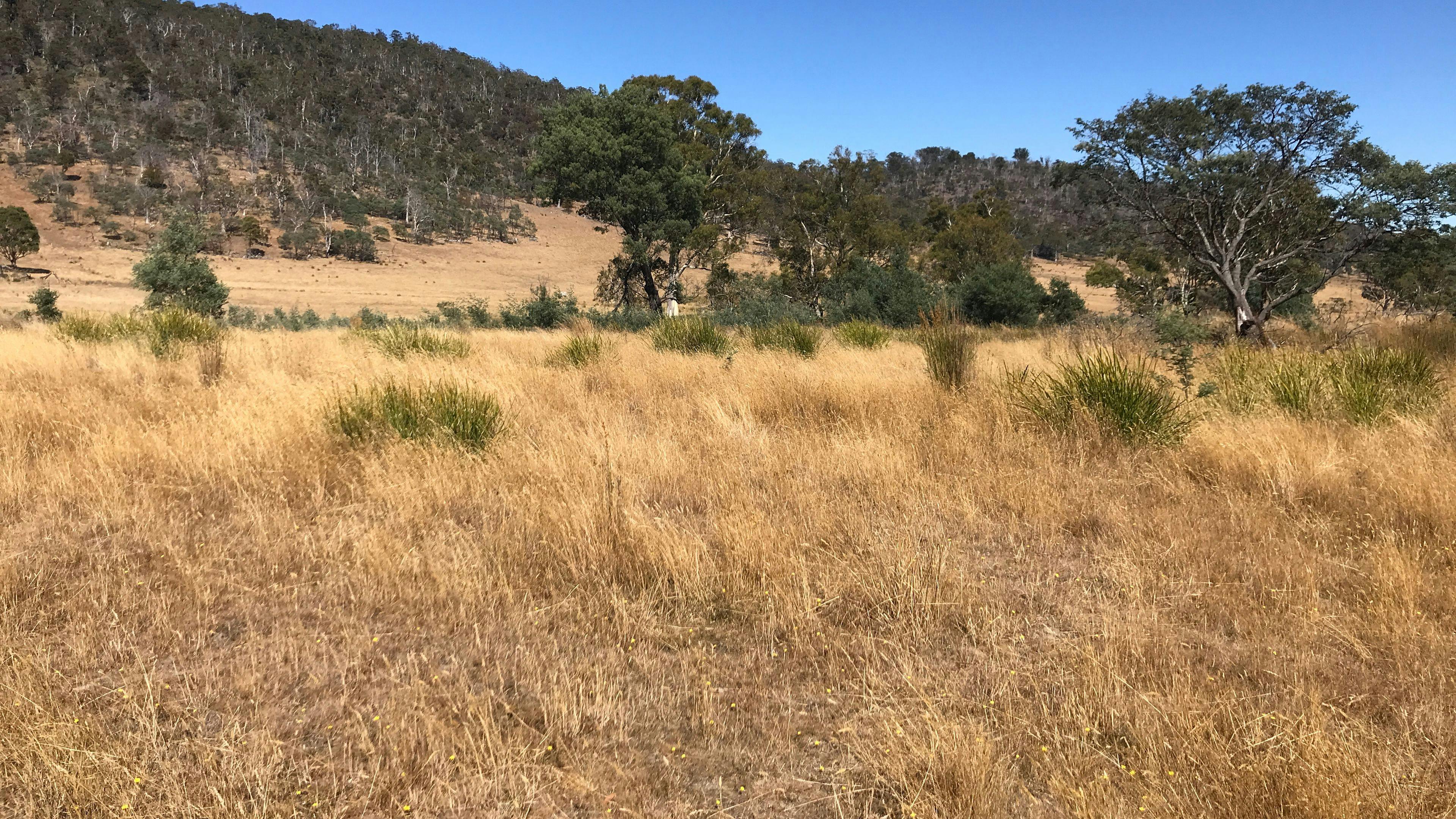 Views from your campsite Bandicoot's Rest