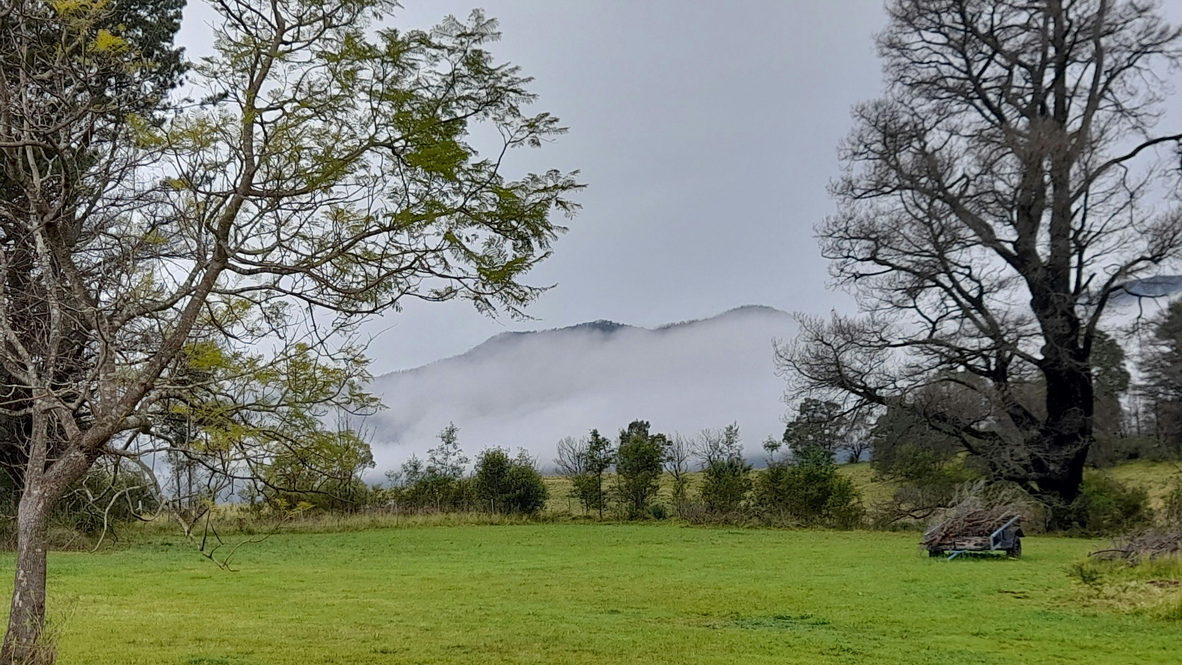 迷霧山野生動物保護區