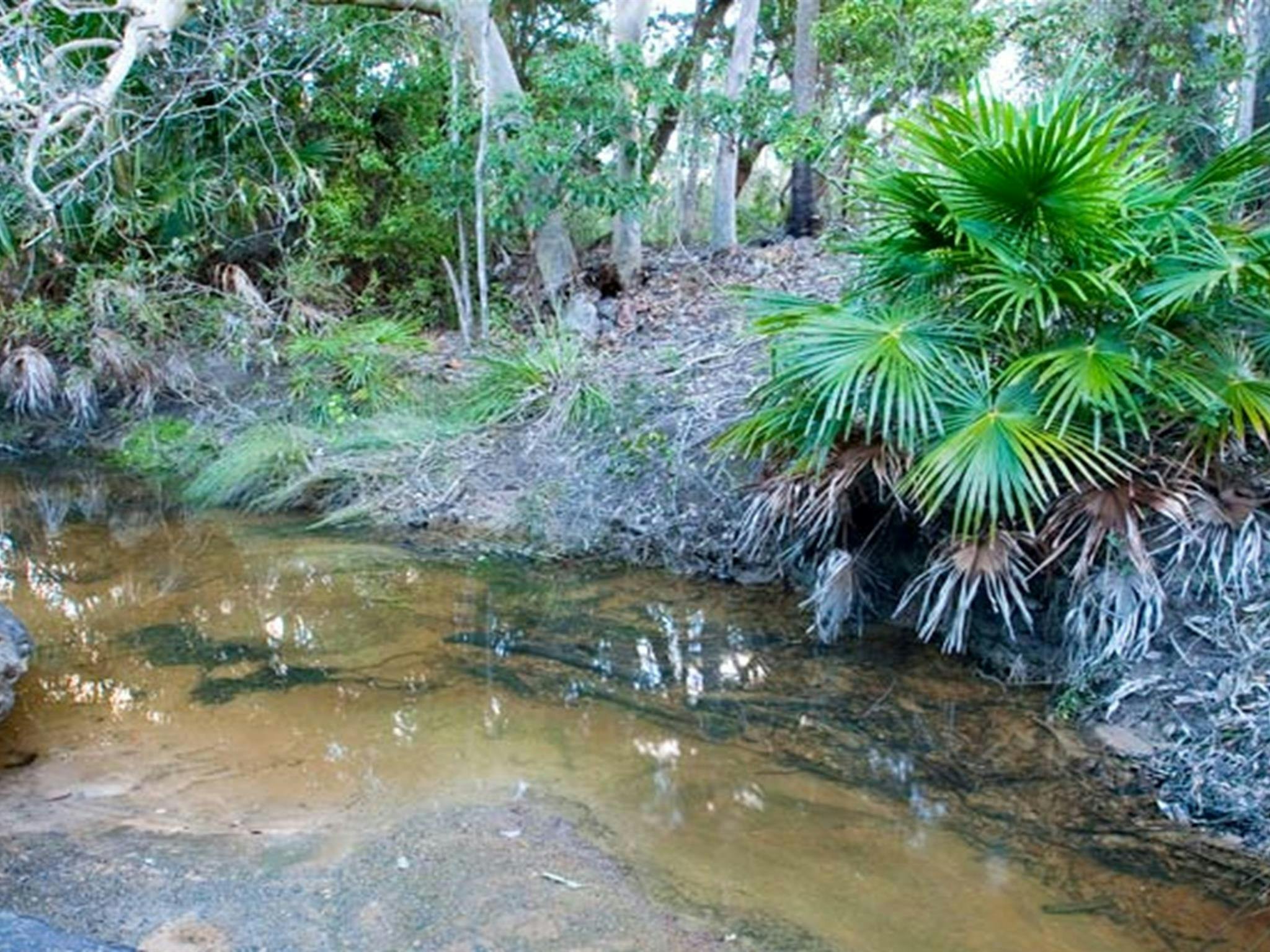 瓦拉拉国家公园