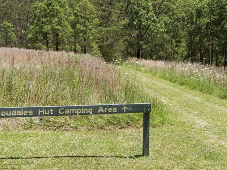 Youdales Hut campground and picnic area in Oxley Wild Rivers National Park. Photo: Rob Cleary/DPIE
