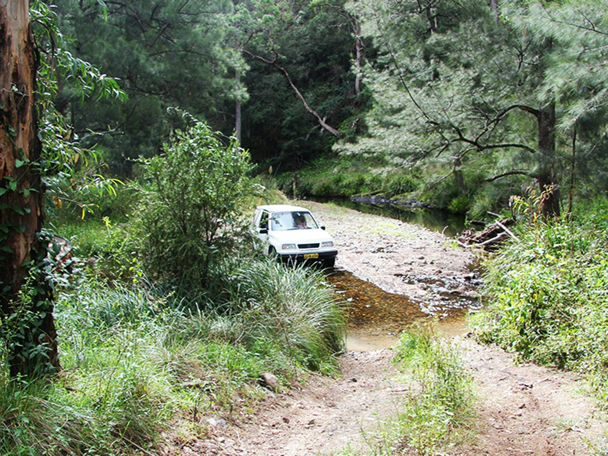 The track to reach Youdales campground is very steep and sometimes requires a creek crossing.