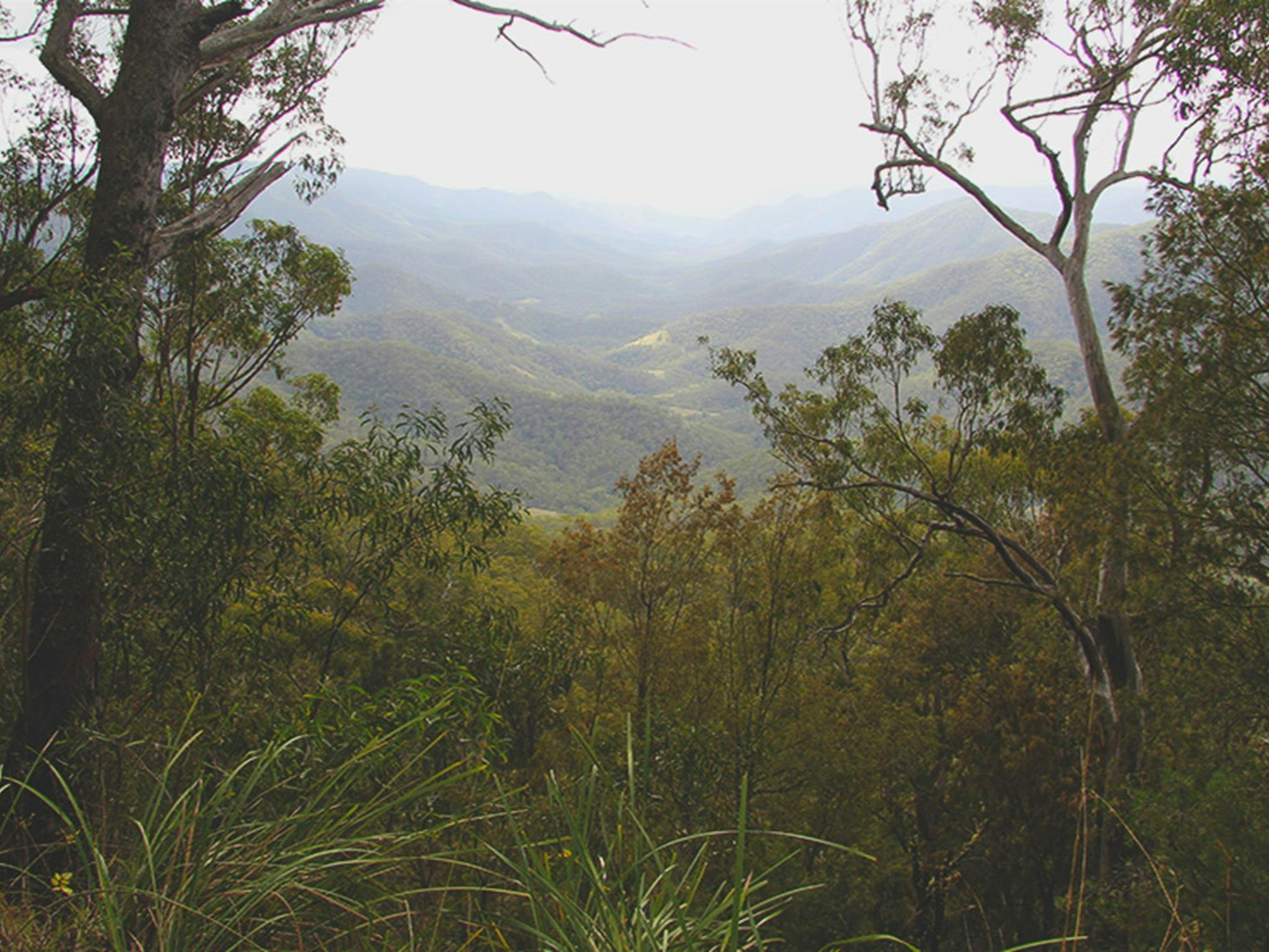 Extensive views across a mountain valley before descending the 4WD track to Youdales campground.