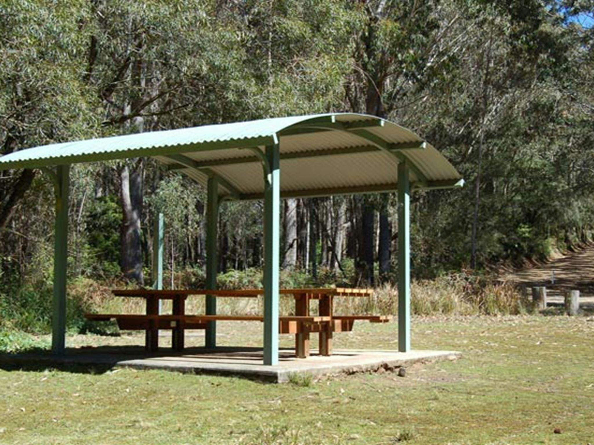 Youngville campground, Mount Royal National Park. Photo: Susan Davis/DPIE