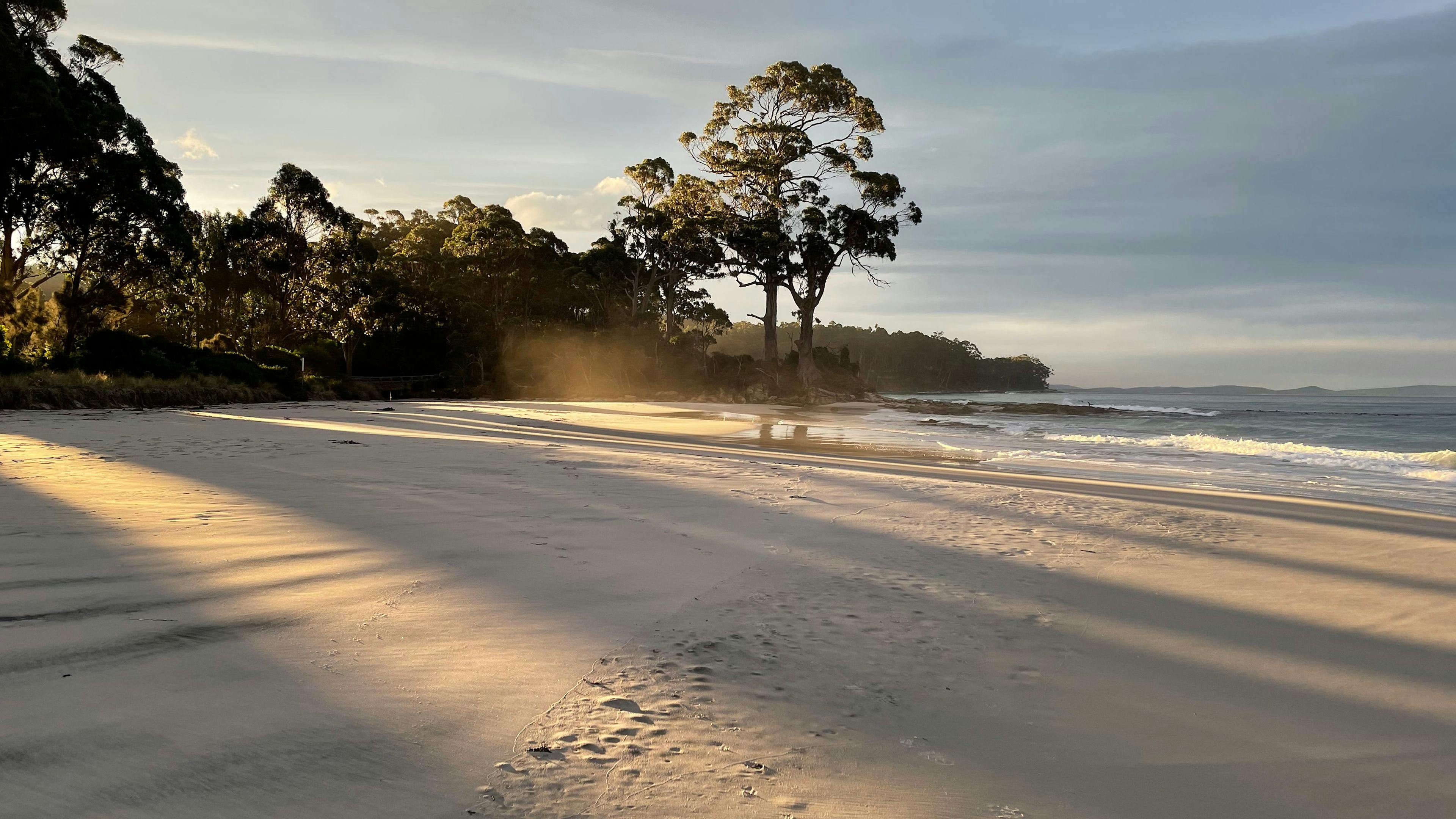 Woodleigh - where beach meets bush