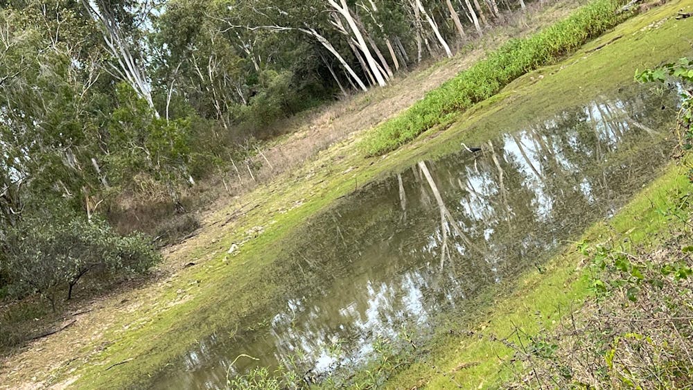 Black River Outback Ranch