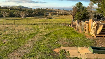 Corella Farm