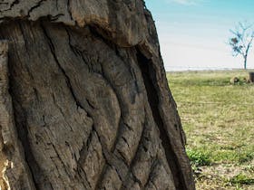 Yuranighs Aboriginal Grave Historic Site