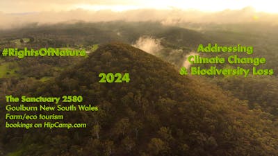 Mist rising off the trees on Mt Anne after rain on Xmas morning