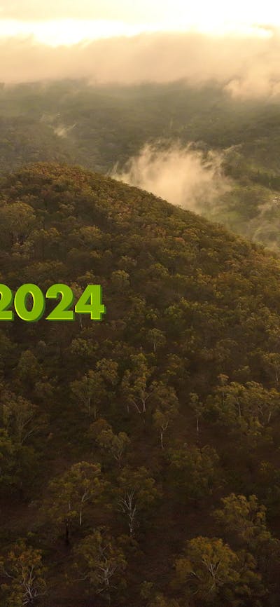 Mist rising off the trees on Mt Anne after rain on Xmas morning