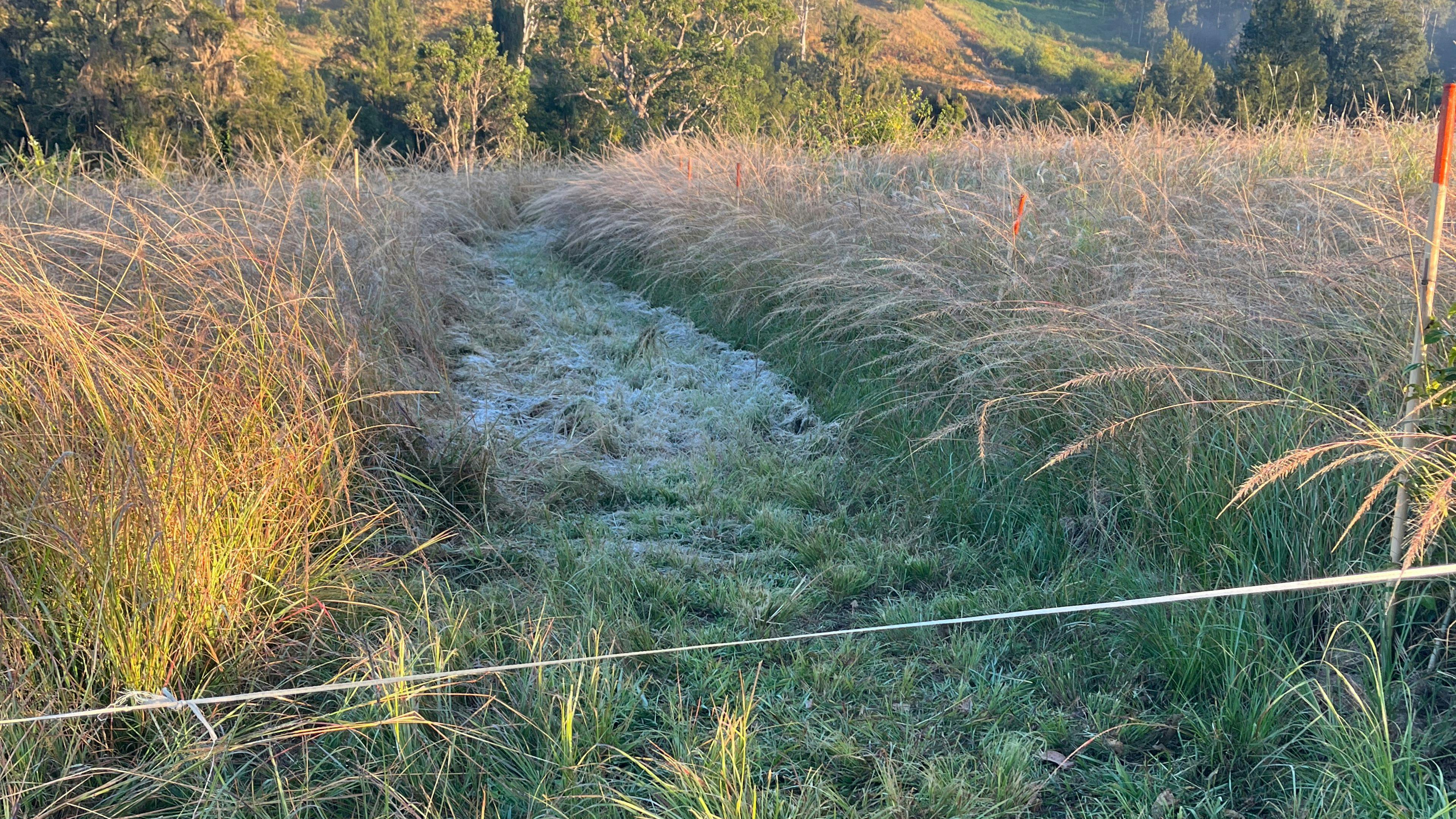 에덴 크릭 보호구역