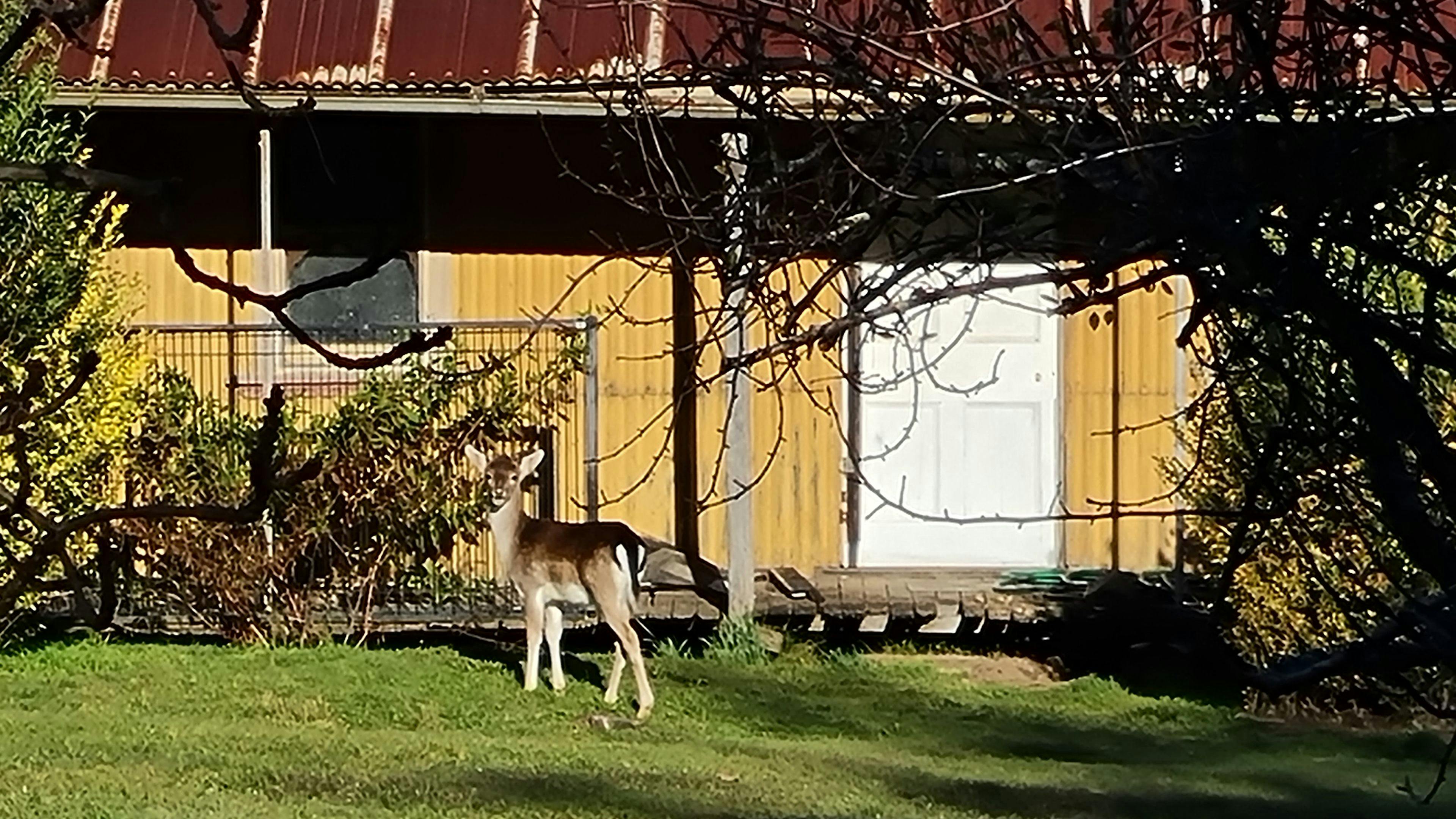 Oakleigh Farm Stay