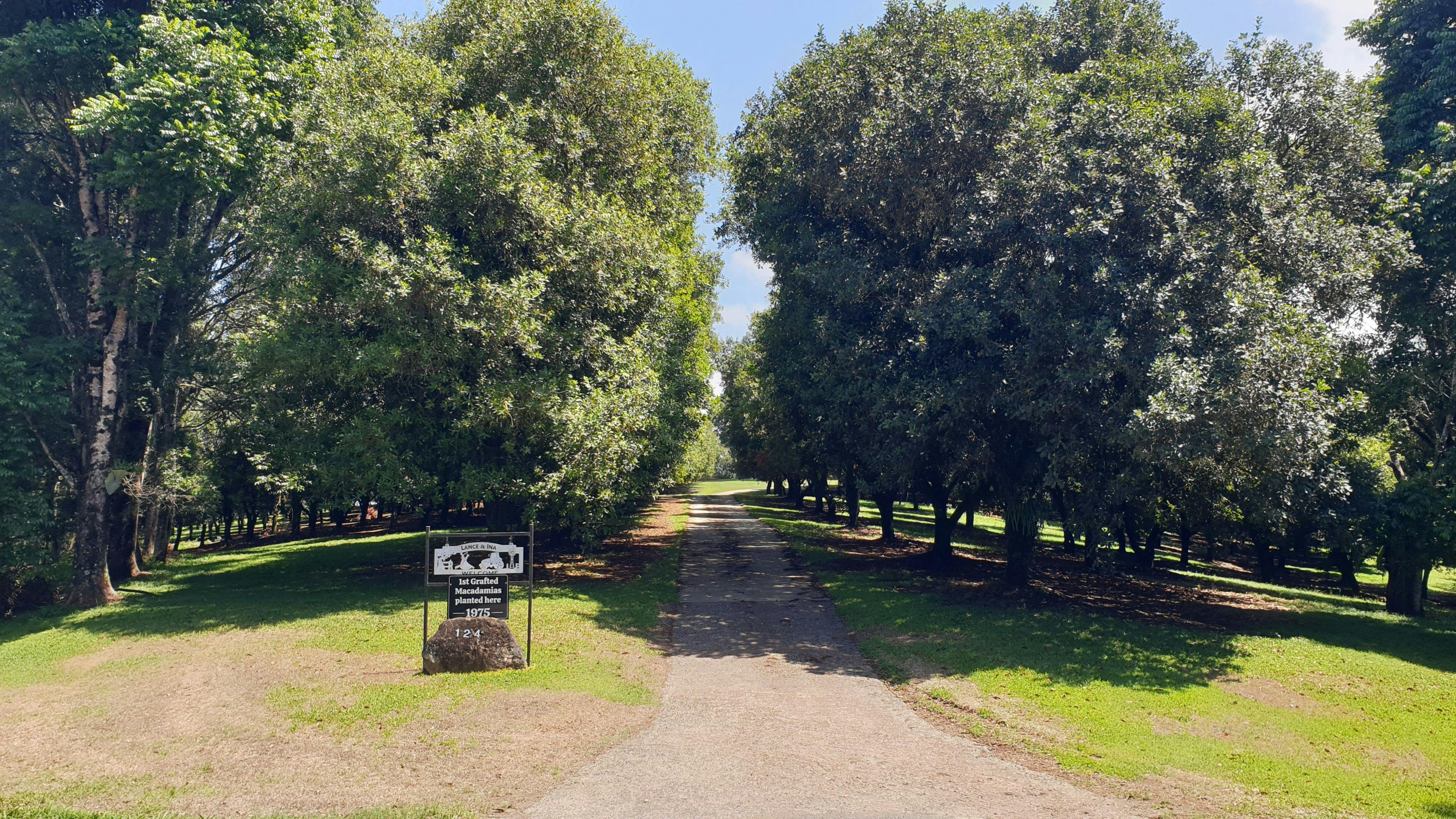 Mill Farm