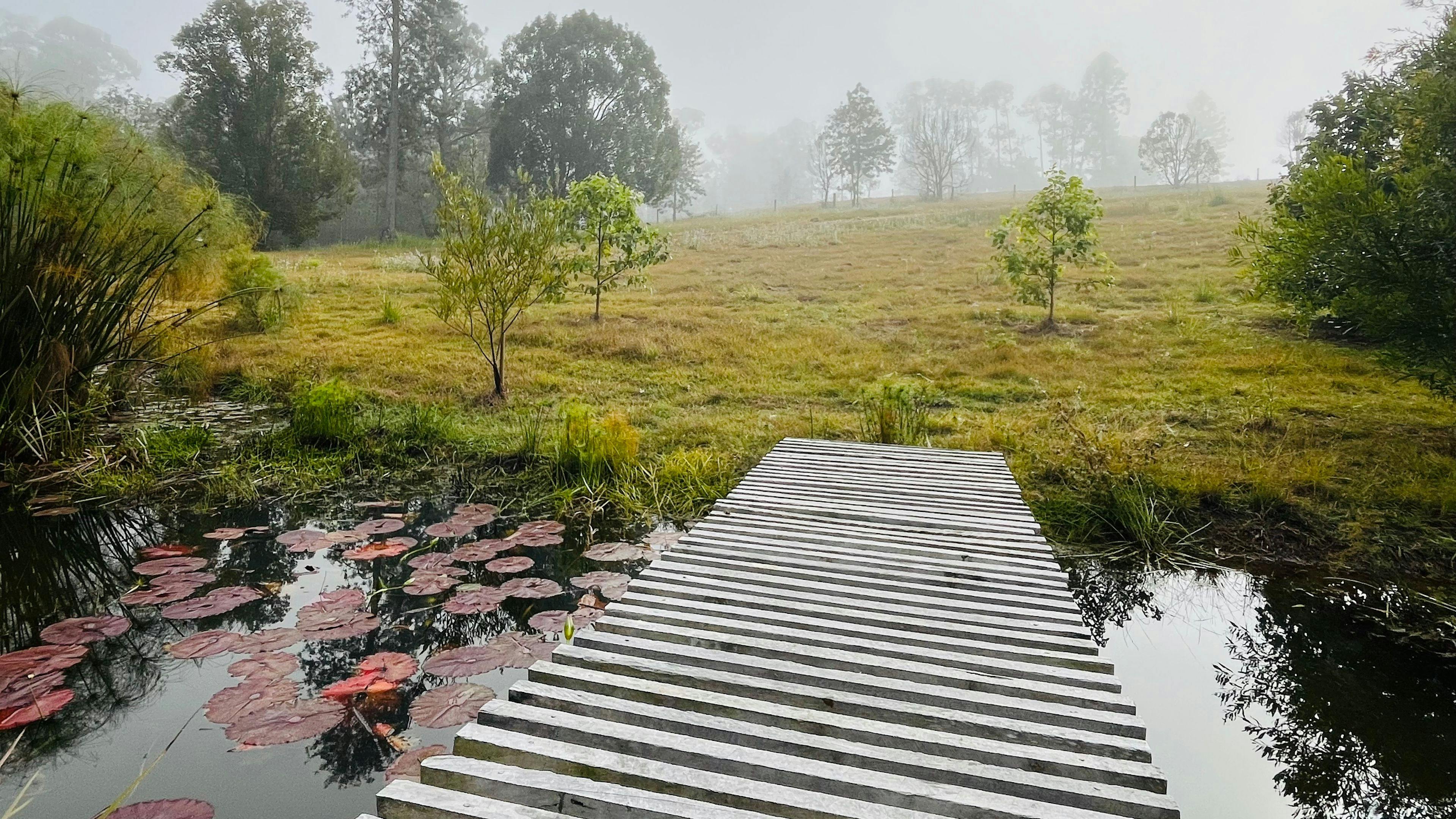 Chain of Ponds Campsite