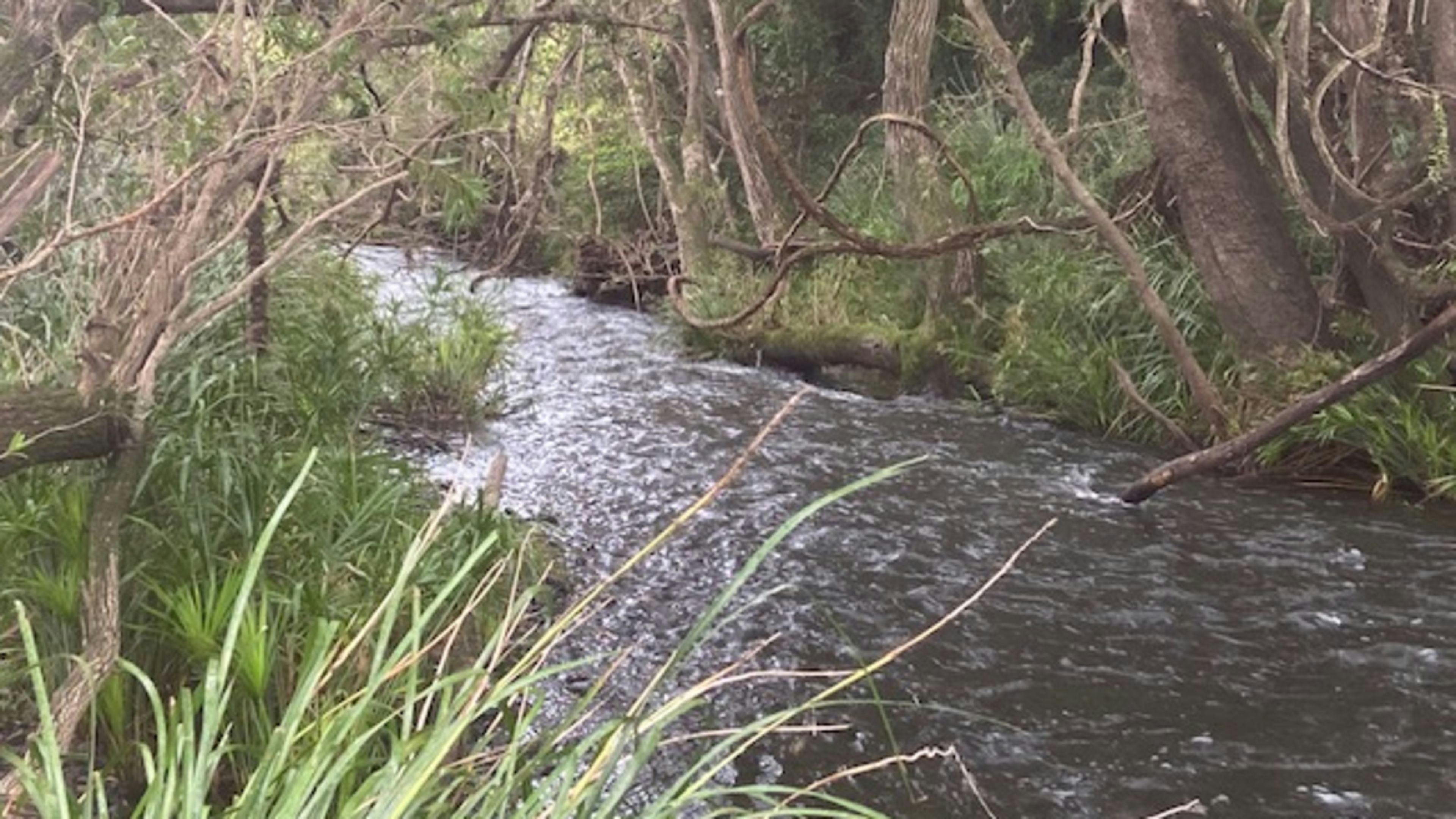 Creekside Camping and Golf