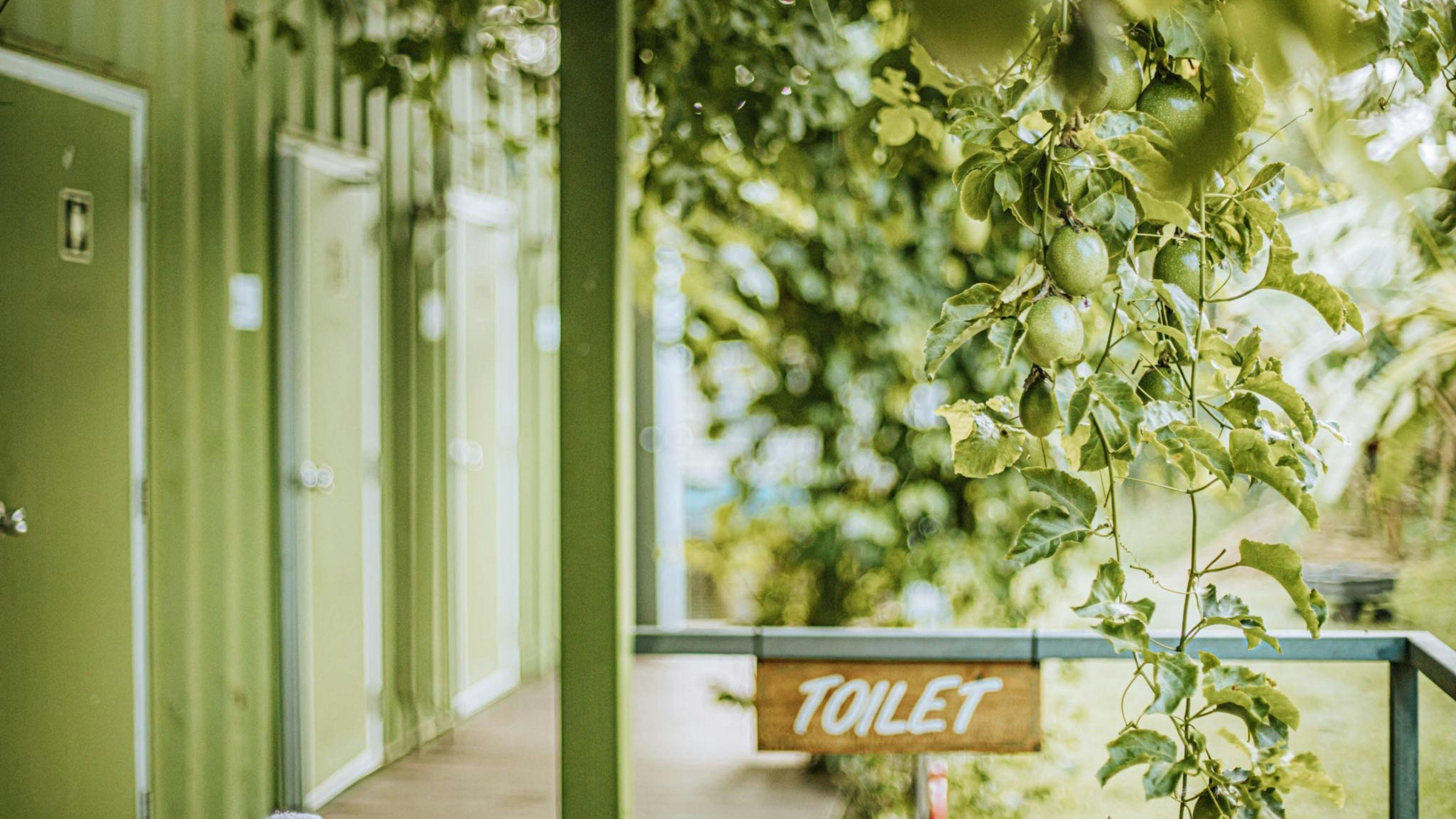 Clean amenities surrounded with fruit trees and gardens 