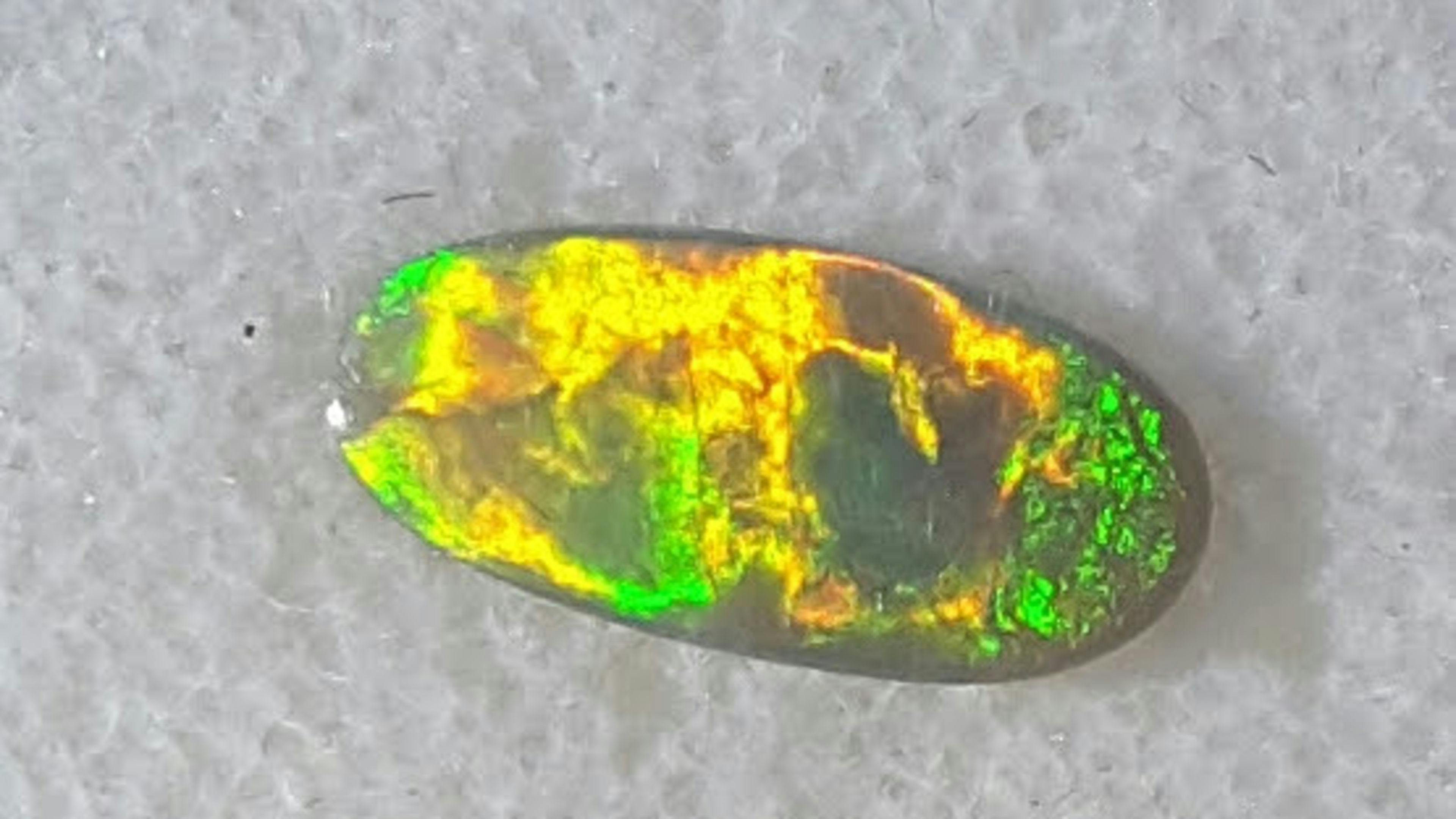 山脊上的老朋友