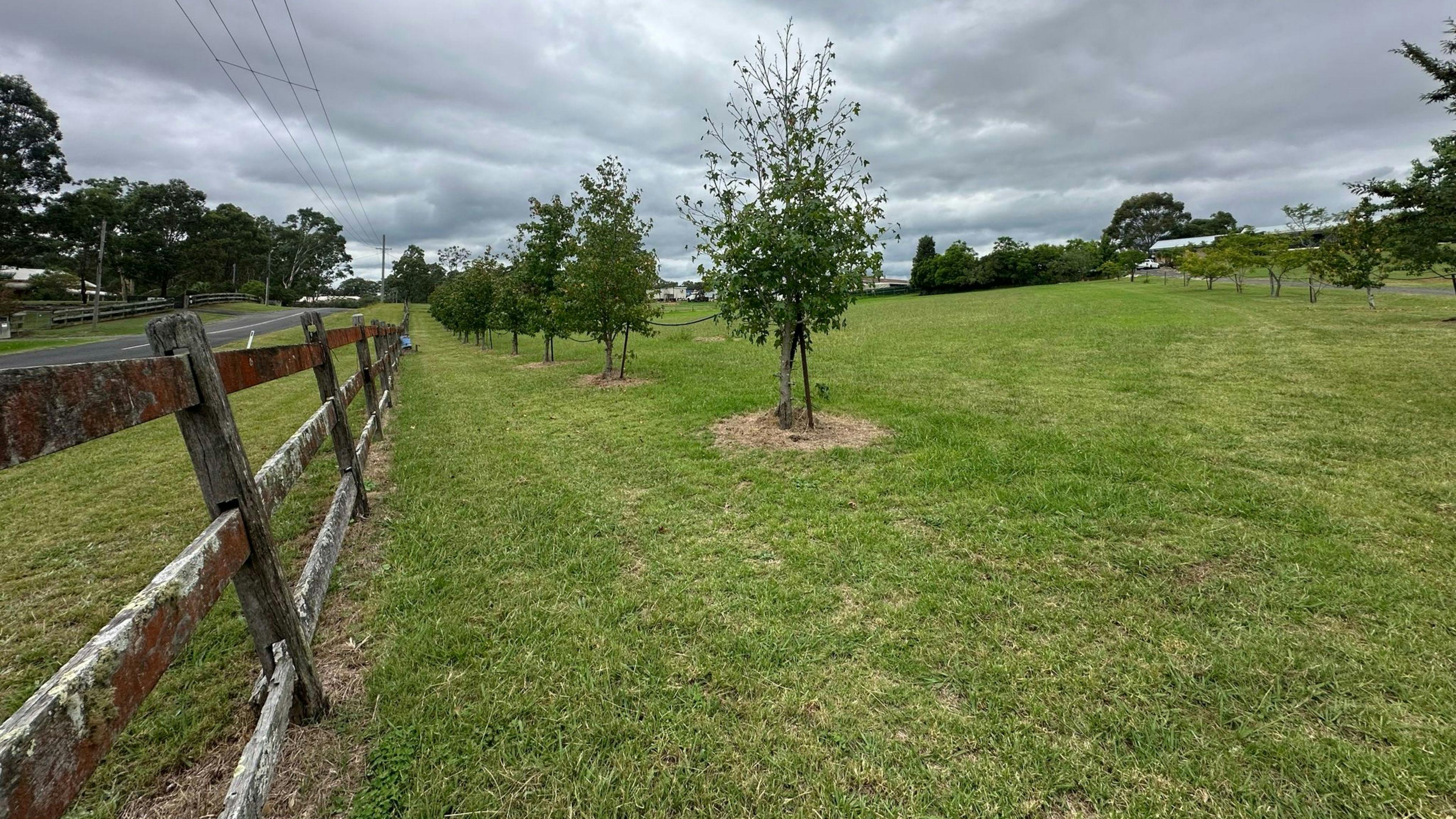 행 아웃 캠프장