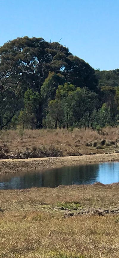 Miranda Springs Farm Stay