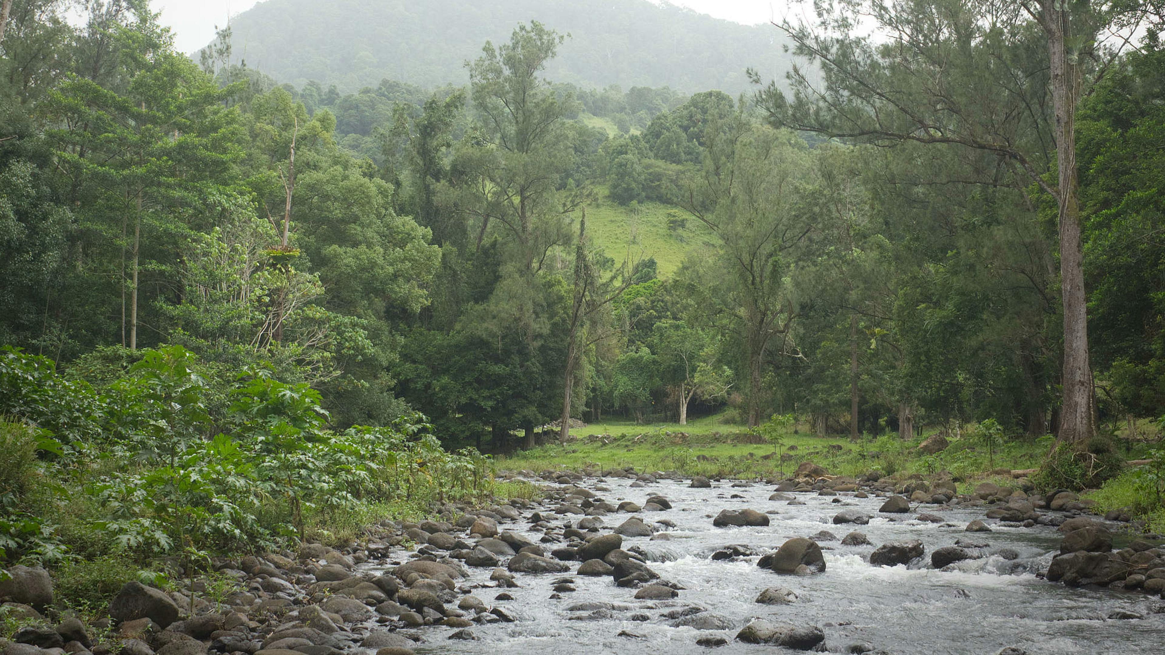 화이트 왈라비 농장