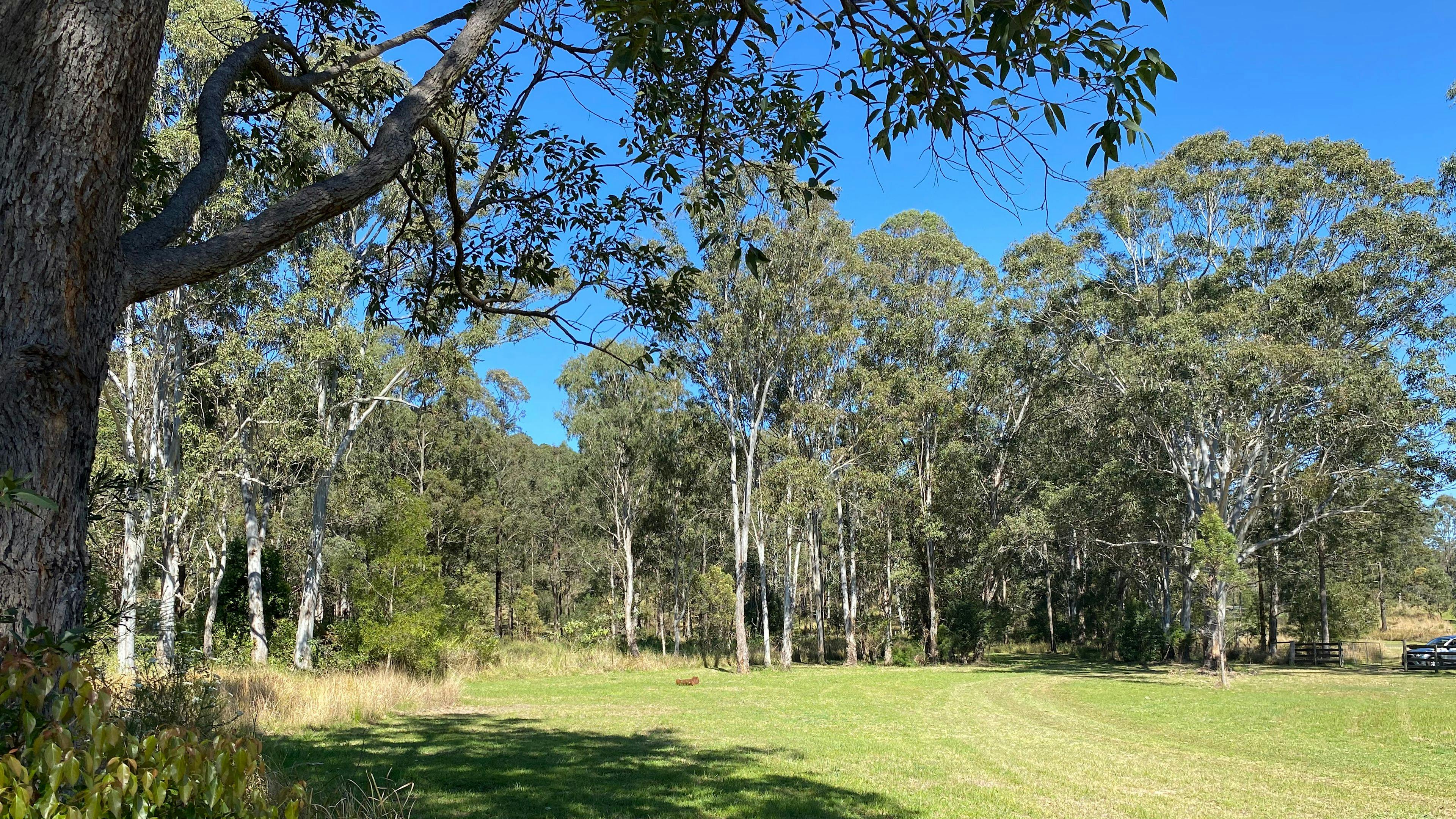 오리너구리 개울