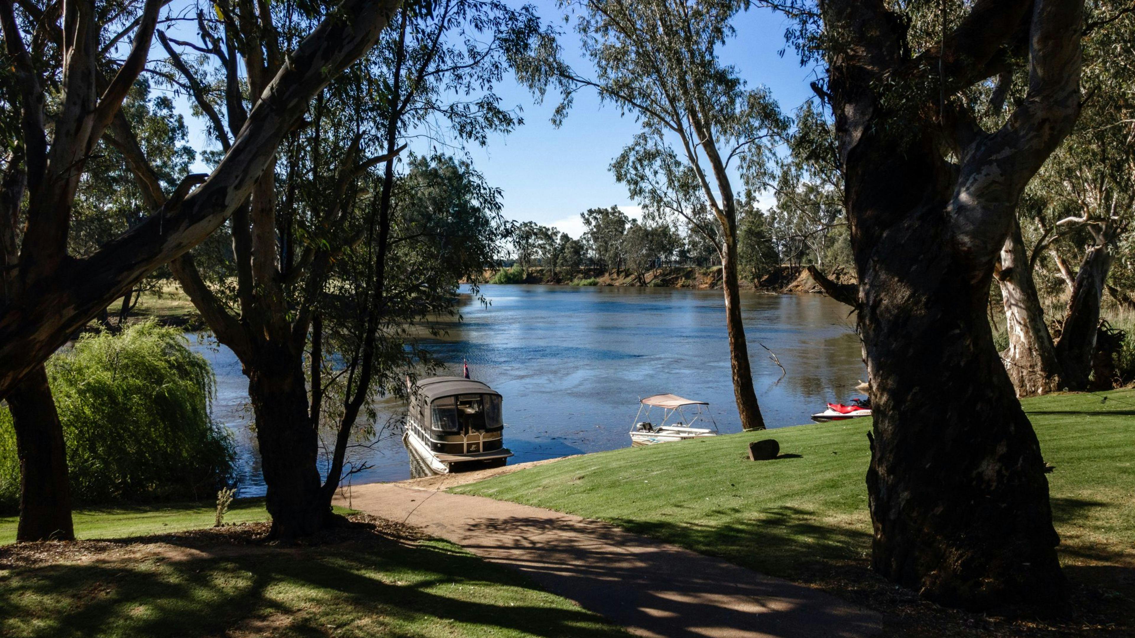 Palm Cove On The Murrumbidgee