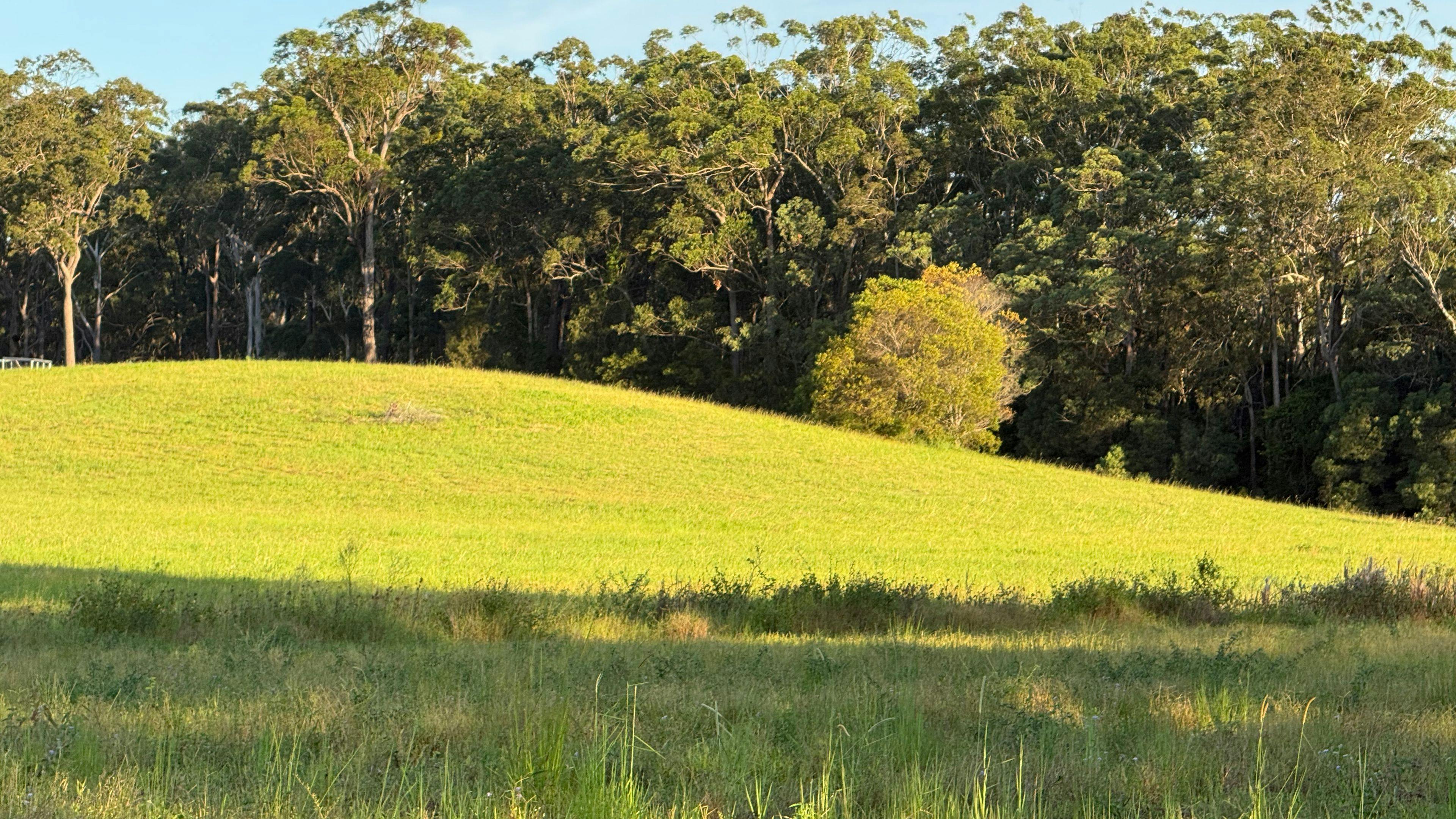 Bagotville Farm