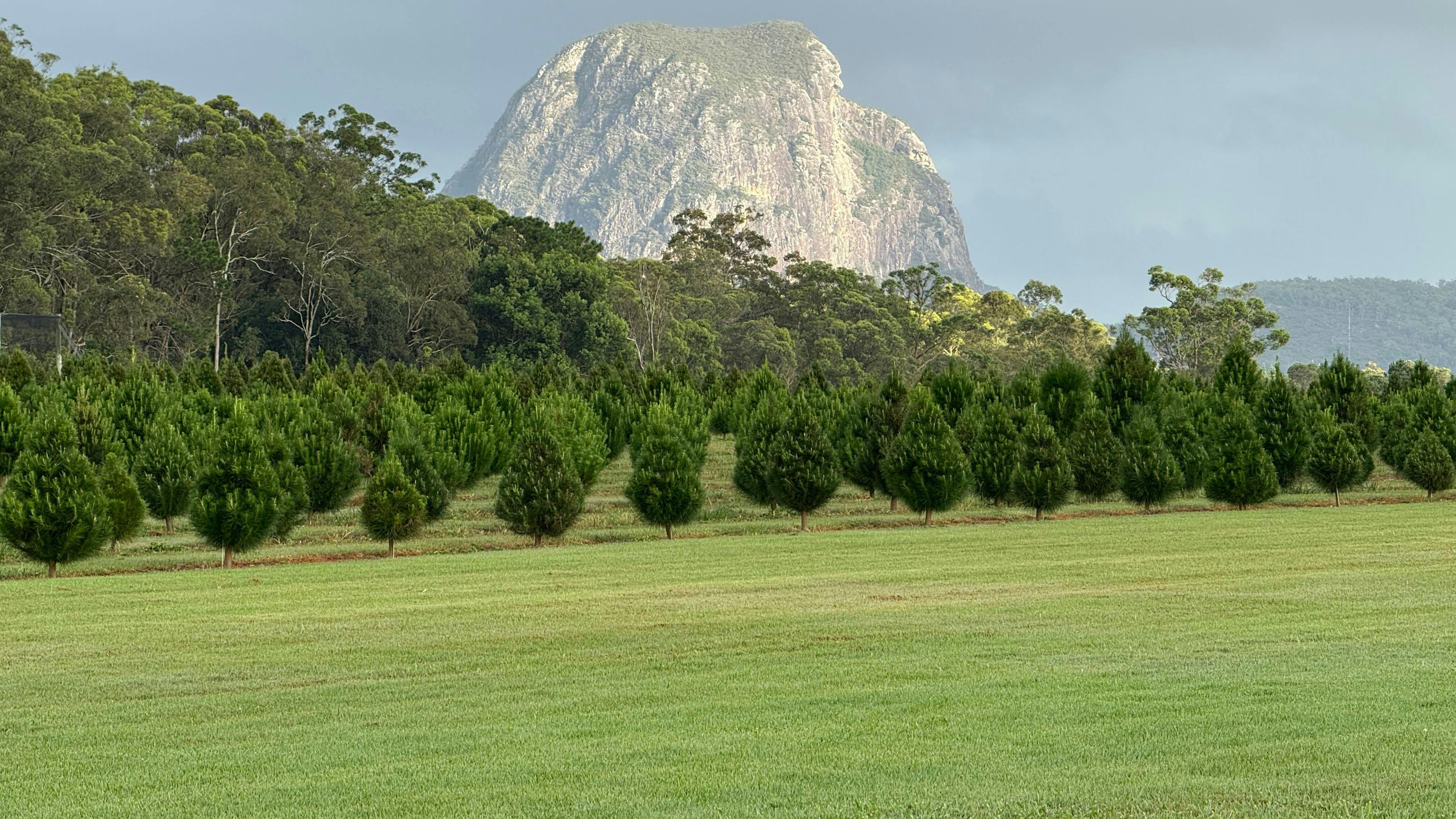 Mountain Country Farm Stay