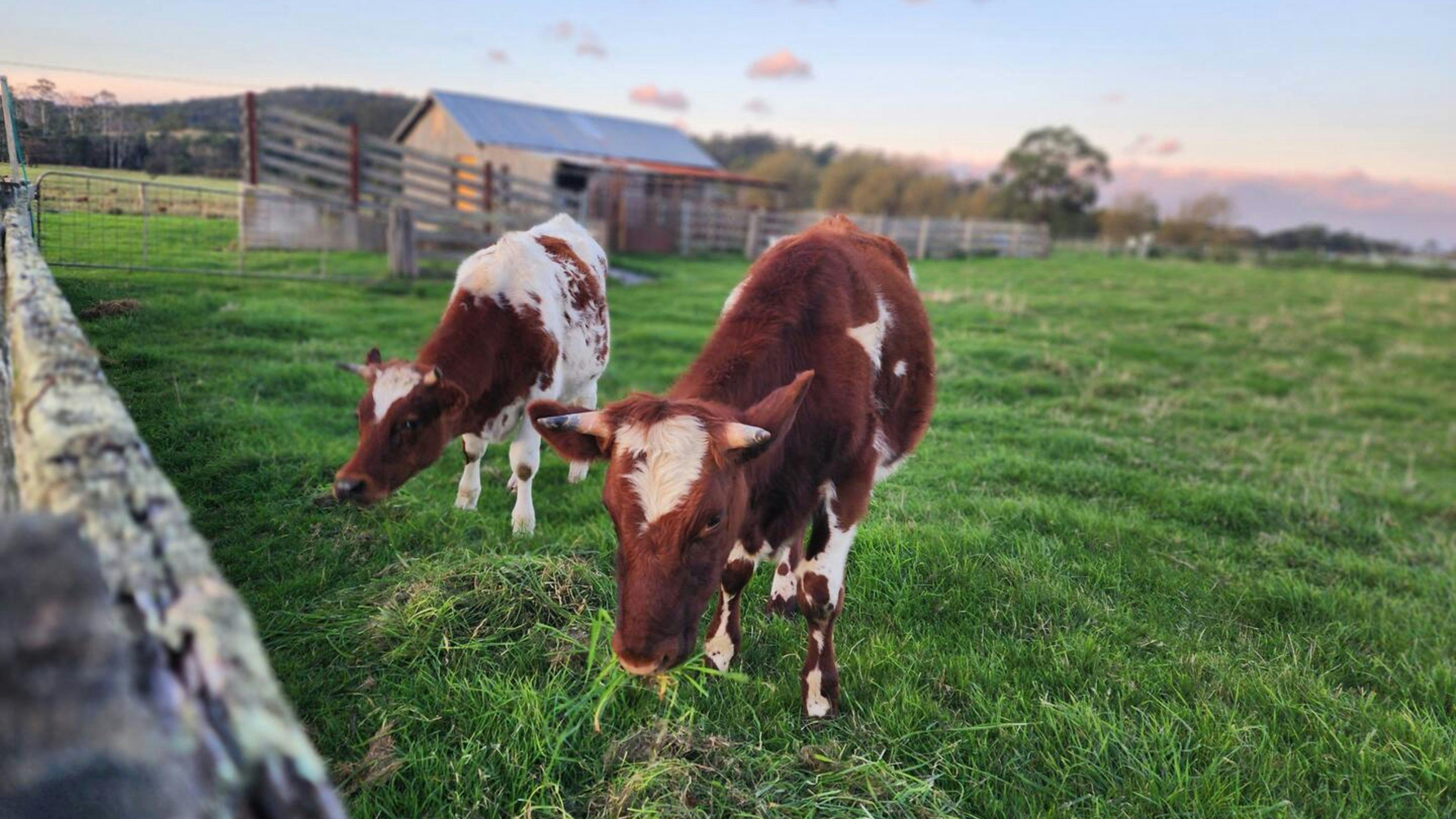 Alandale Farm